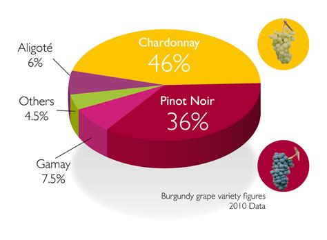The Essence of Burgundy's 8th Case: Capturing the Spirit of the Terroir